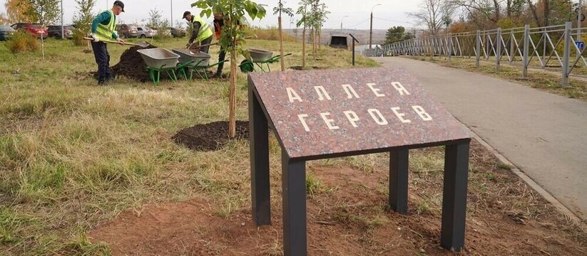 В столице Удмуртии, на улице Ильфата Закирова, ...