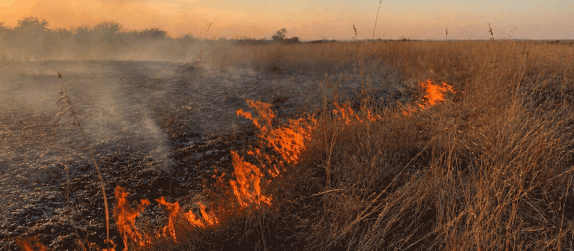 В Удмуртии за четыре месяца произошло семь ланд...