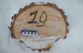 Житель Удмуртии понесет ответственность за неза...