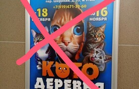 Ижевские зоозащитники требуют закрыть "Котодере...