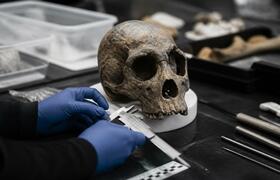 Учёные: череп Homo antecessor из Атапуэрки близ...
