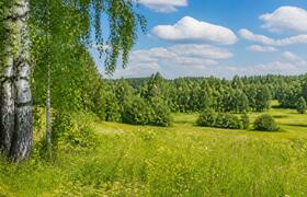 Среда станет самым теплым днем недели в Удмуртии