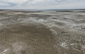 Высыхание Аральского моря: 204 млн тонн CO2 в а...