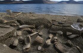 В Чили у озера Тагуа-Тагуа нашли кости гомфотер...